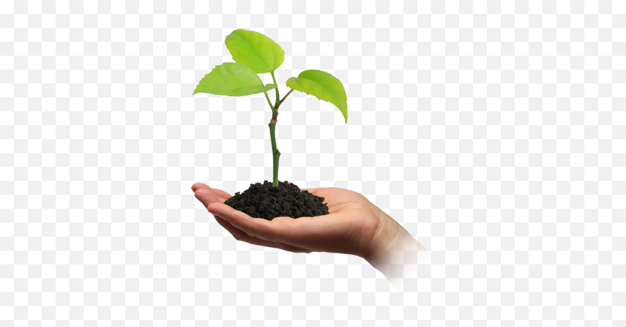 Soil In Hand Png - Plant Tree For Future Emoji,Transparent Plant