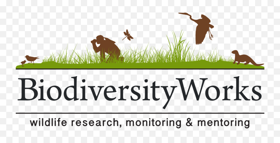Biodiversityworks U2013 Wildlife Research Monitoring And Mentoring Emoji,Monitor Logos