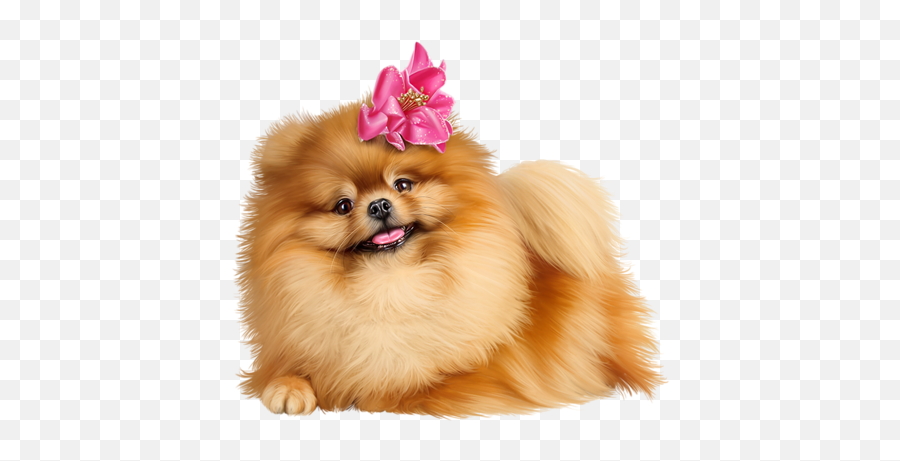Cute Animals - Pomeranian Png Emoji,Pomeranian Clipart
