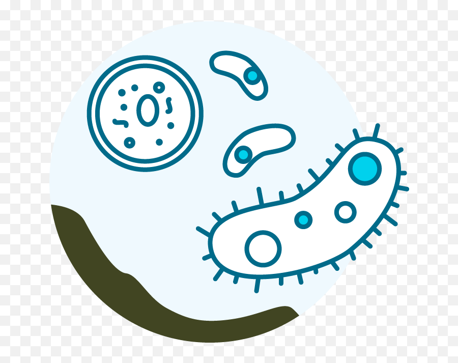 Bioblast Bacteria Treatment Everblue Lakes - Dot Emoji,Bacteria Clipart