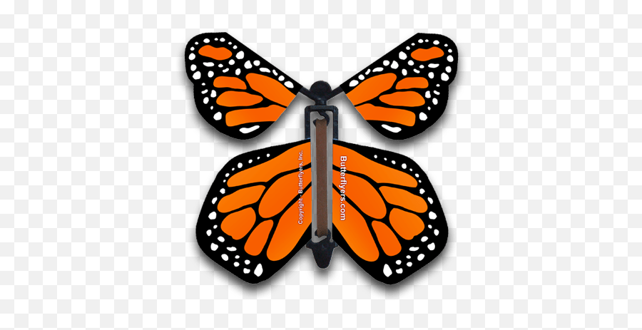 Orange Monarch Flying Butterfly 10 Pack Emoji,Butterfly Wing Clipart