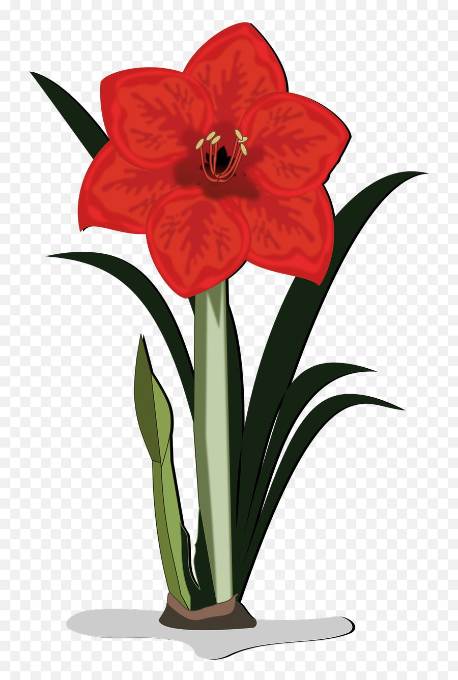 Red Lily Flower With Stem Clipart - Clip Art Emoji,Stem Clipart
