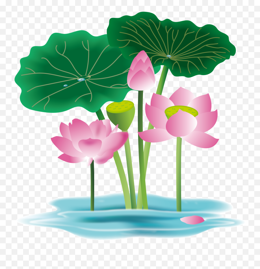 Hand Painted Flower Plant Water Lily - Water Lily Plant Vector Emoji,Lily Clipart