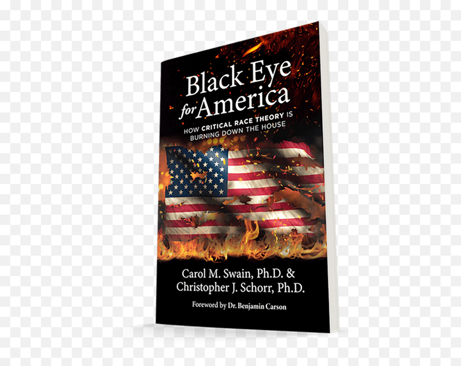 Black Eye For America - Be The People Project Emoji,Black Eye Png