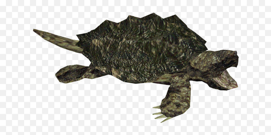 Snapping Turtle - Snapping Turtle Png Emoji,Turtle Png