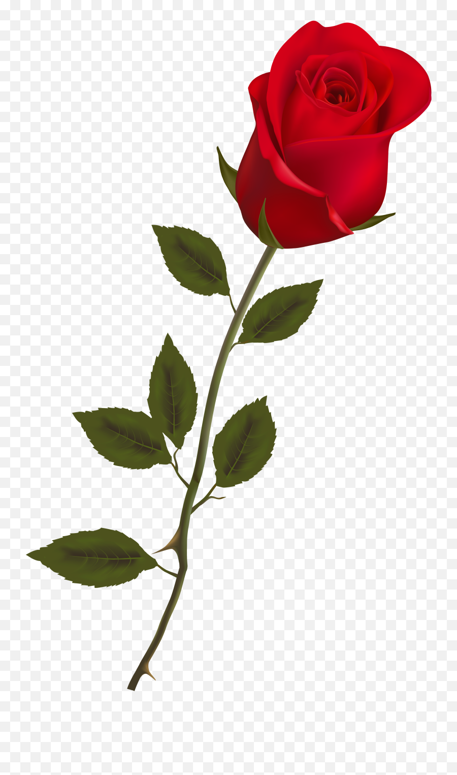 Rose Stem - Red Rose Png Emoji,Stem Clipart