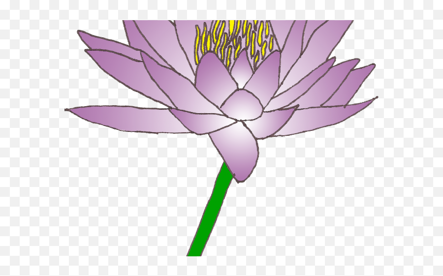 Download Water Lily Clipart Lily Pad - Lily Pad Flower Clipart Emoji,Lily Clipart