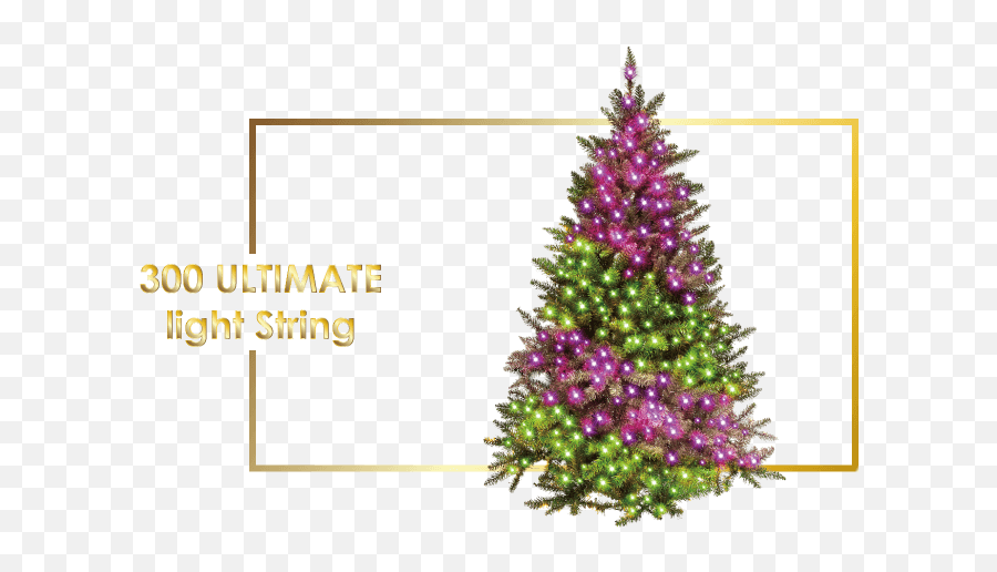 300 Ultimate Lights - Ishowlights Emoji,String Of Christmas Lights Png