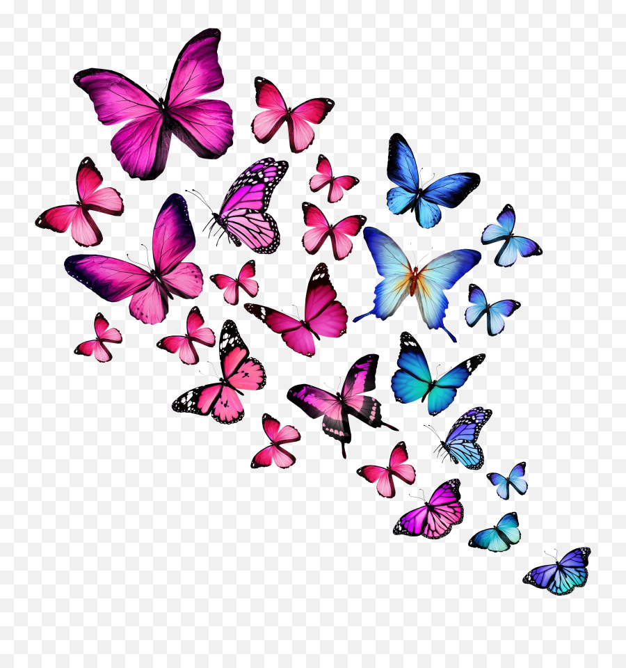 Skiing Snowman Images Skiing Snowman Transparent Png Pink - Transparent Background Colorful Butterflies Png Emoji,Butterfly Transparent Background