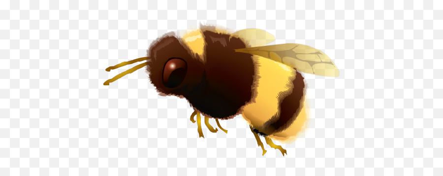 Bumblebee - Bumblebee Real Emoji,Bumblebee Png