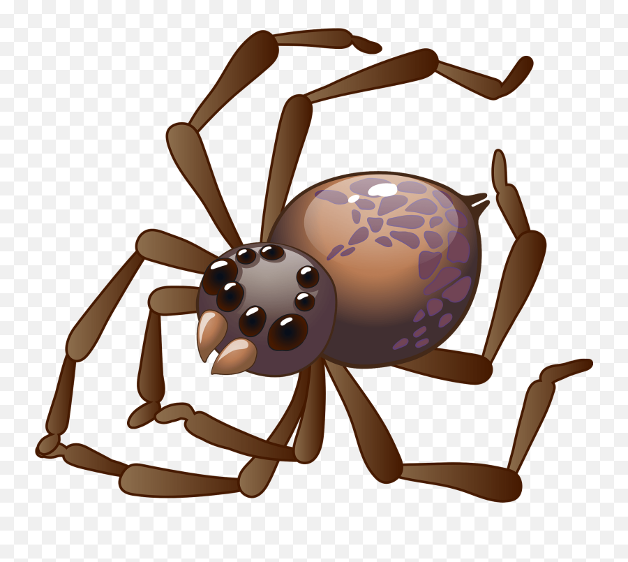 Spider Clipart - Barn Spider Emoji,Spider Clipart