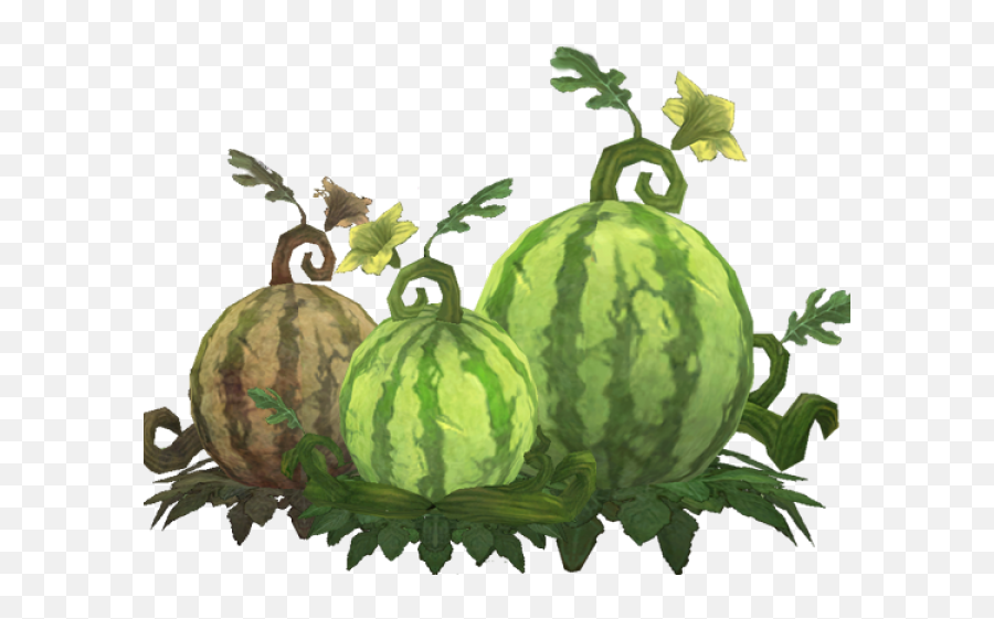 Cantaloupe Clipart Cucumber Melon - Watermelon Plant Clipart Transparent Background Free Clipart Watermelon Emoji,Watermelons Clipart
