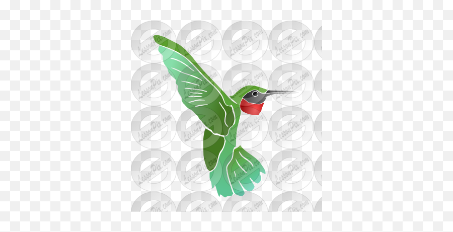 Hummingbird Stencil For Classroom - Hummingbird Emoji,Hummingbird Clipart