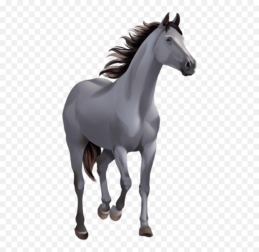 Shagya Arabian Horse Clipart Free Download Transparent Png Emoji,Mustang Clipart Black And White