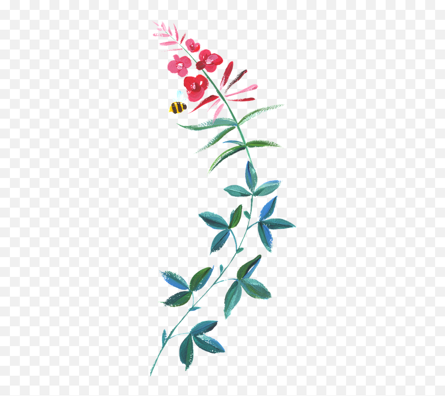 Hand - Painted Watercolor Free Image On Pixabay Rose Emoji,Watercolor Flower Png