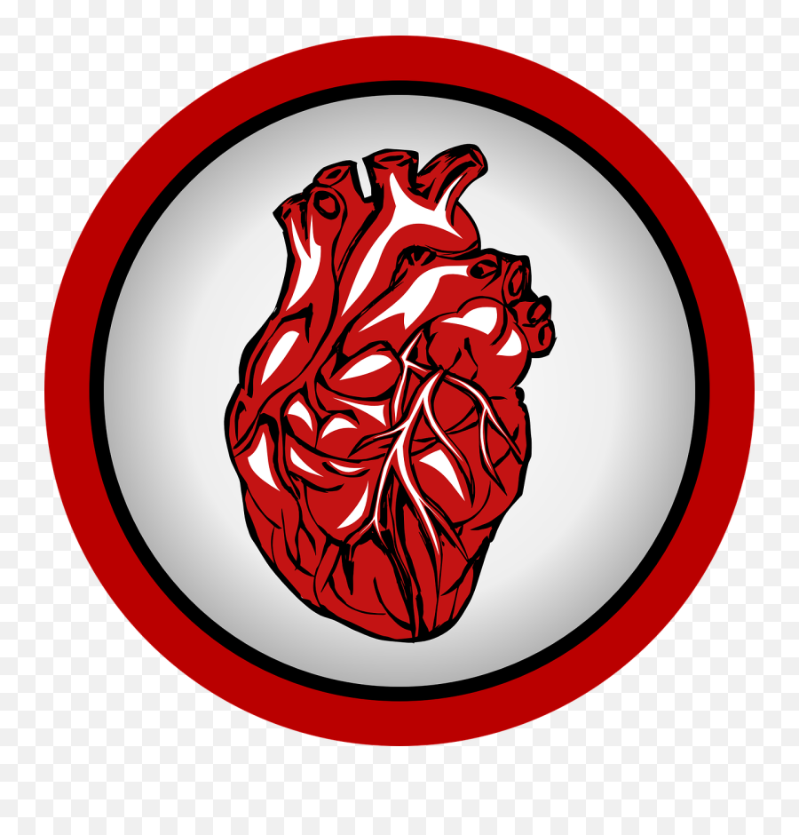 Real Heart Transparent Background - Gambar Animasi Jantung Lucu Emoji,Real Heart Png