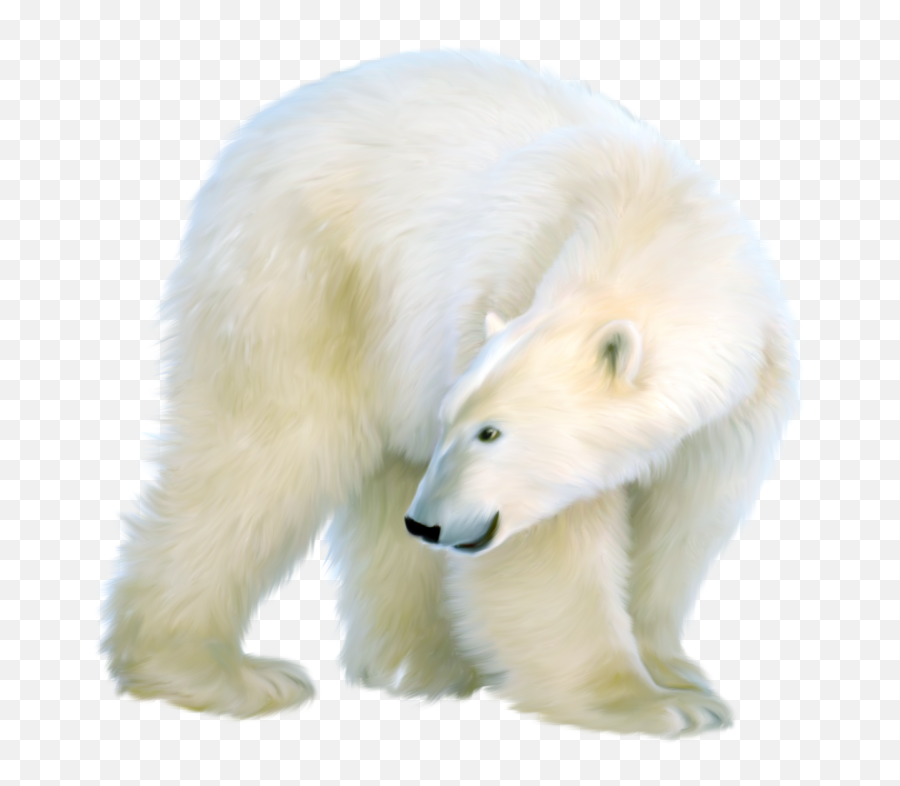 Polar Bear - Polar Bear Emoji,Bear Png