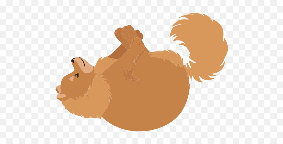 Dmytrobosnak - Tree Squirrels Emoji,Pomeranian Clipart