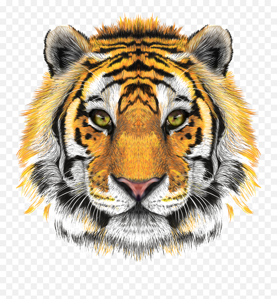 Download Hd Tiger Head Transparent - Transparent Tiger Face Png Emoji,Tiger Transparent Background
