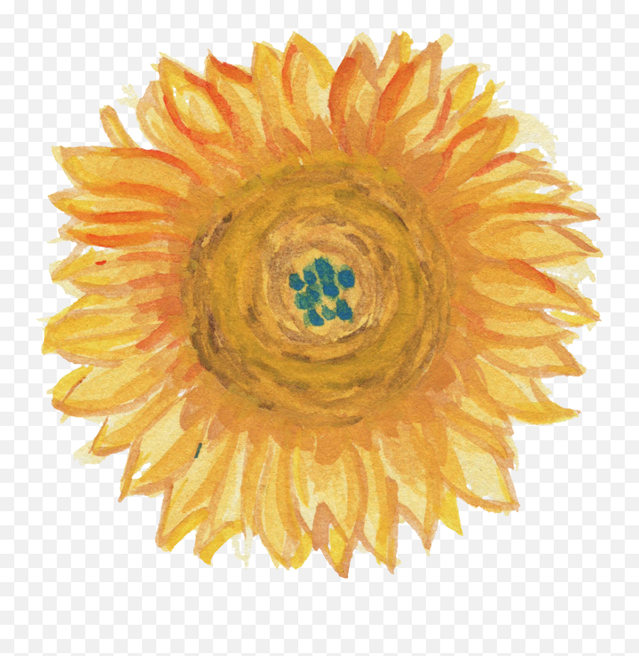 5 Watercolor Sunflower Png Transparent Onlygfxcom Emoji,Sunflower Transparent Background