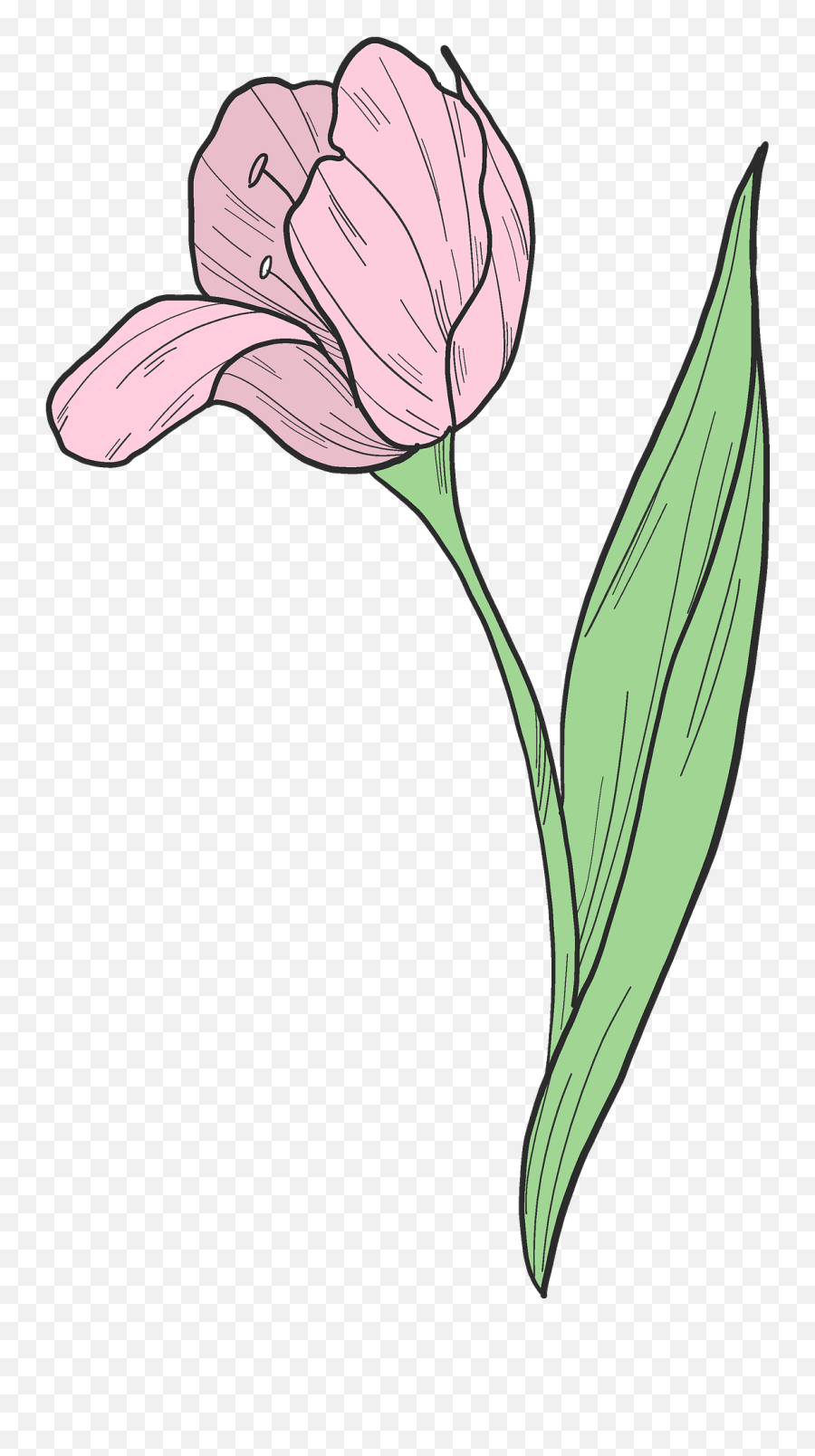 Pink Tulip Clipart - Girly Emoji,Tulip Clipart