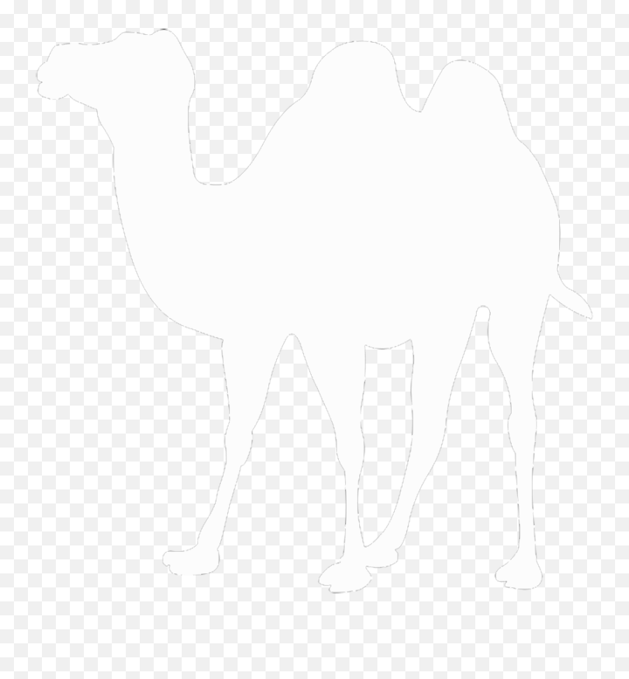Camel Clipart Palm Tree - Karimunjava National Park Emoji,Camel Clipart