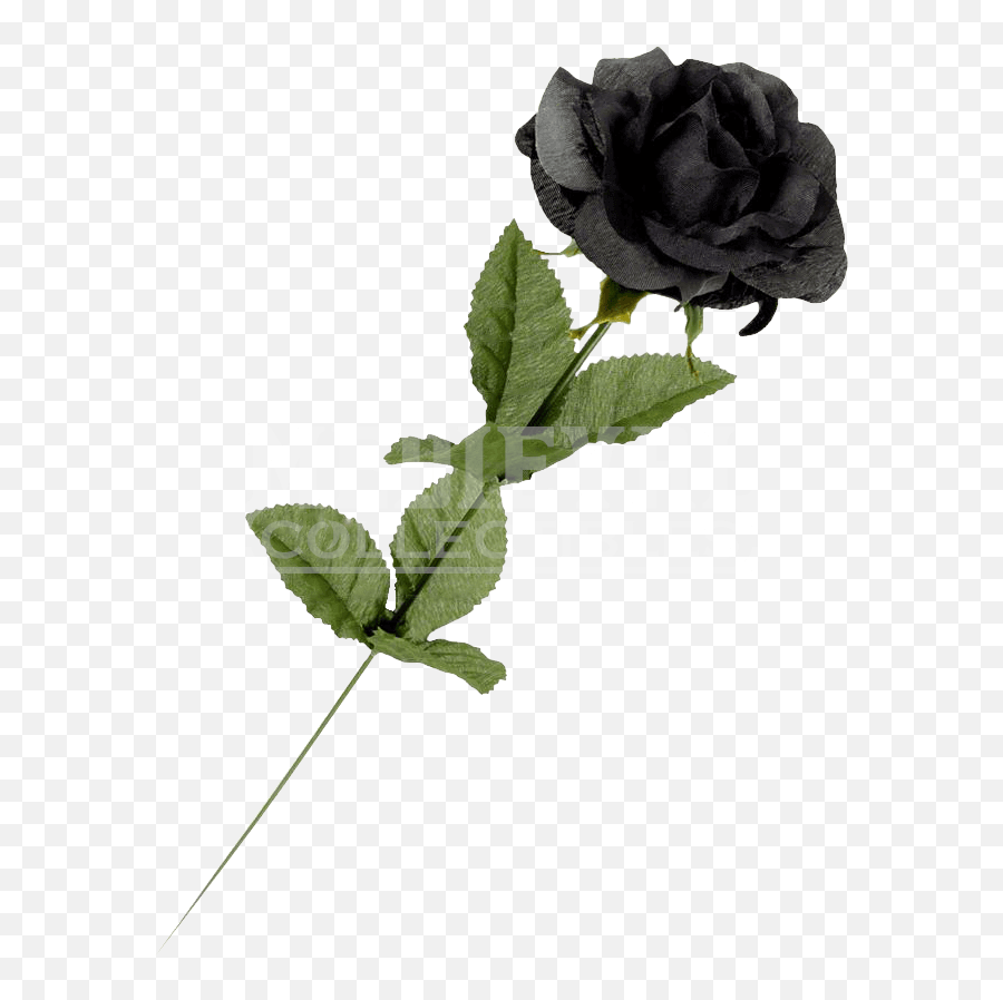 Black Rose Black Rose White Rose Png Rose Clipart - Single Black Rose Images Download Emoji,Rose Clipart Black And White