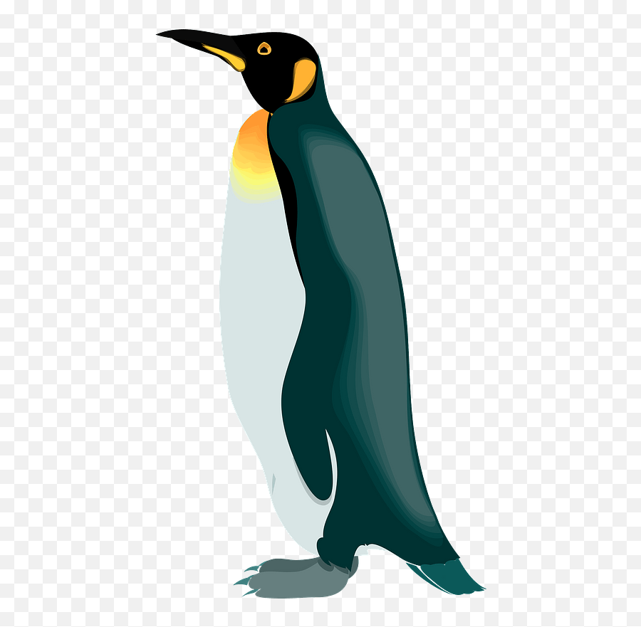 Penguin Clipart - Realistic Penguin Clip Art Emoji,Clipart Penquin
