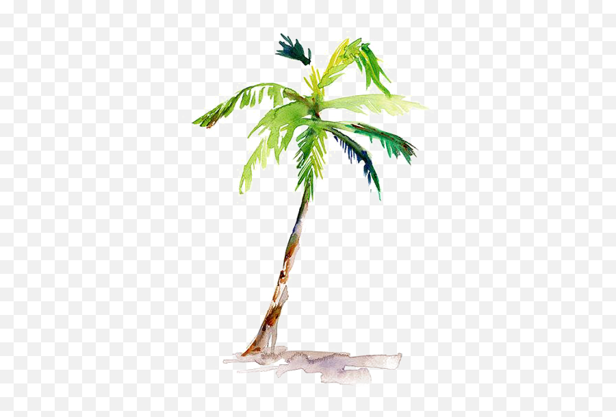 Watercolor Palm Tree Png - Coconut Tree Watercolor Png Emoji,Watercolor Tree Png