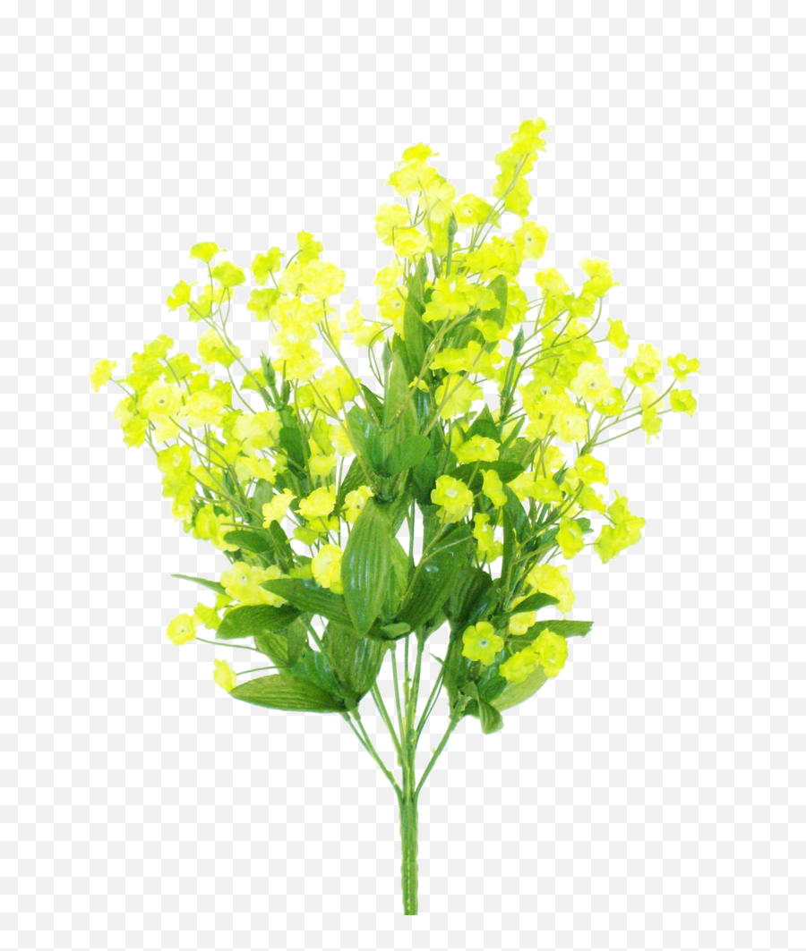 Color Fast Double Baby Breath X 11 H19 Light Green Emoji,Baby's Breath Png