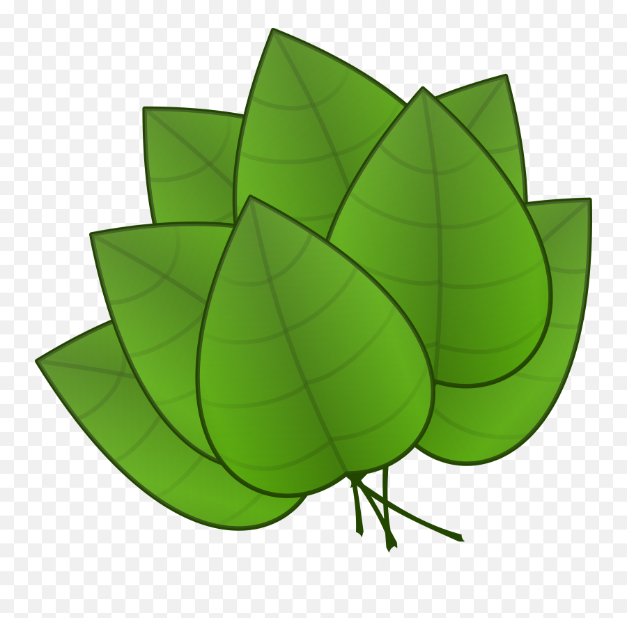 Jungle Leaves Clipart Jungle Leaves - Leaves Clip Art Emoji,Leaf Clipart