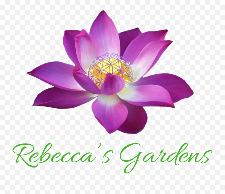 Gmaill Logo Url For Signature U2014 Rebeccau0027s Gardens Emoji,Rg Logo