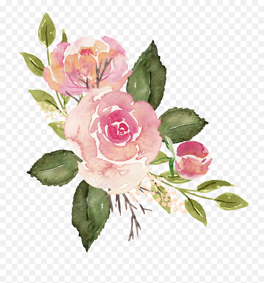 Download Free Png Watercolor Rose Png 97 Images In - Watercolor Rose Transparent Png Emoji,Watercolor Flower Png