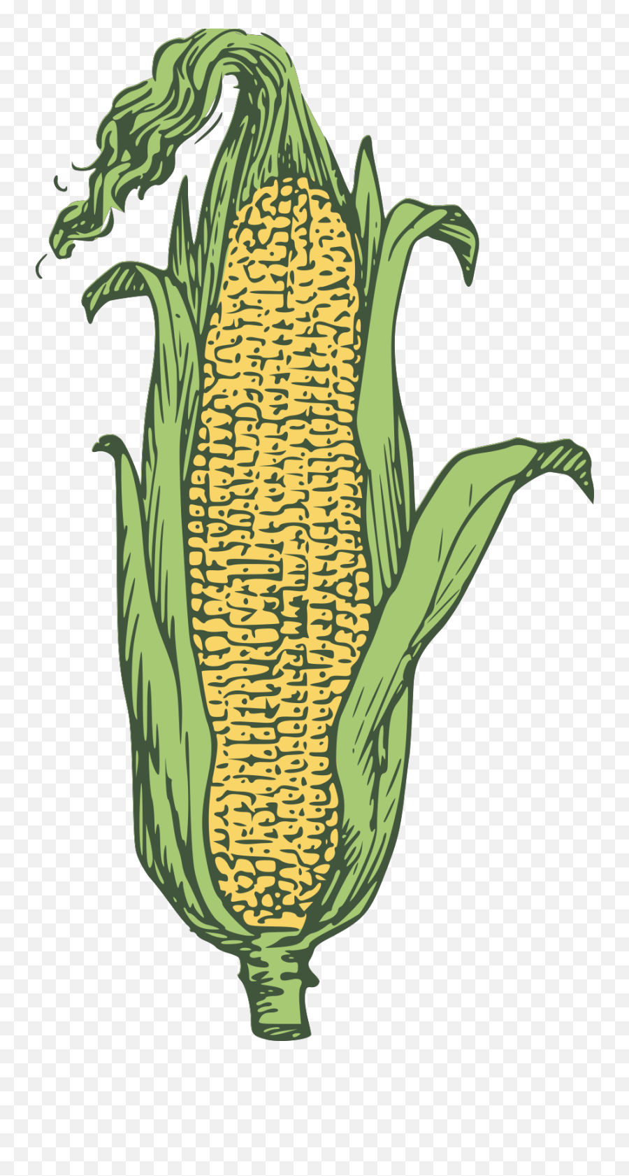 Corn Svg Vector Corn Clip Art - Corn Clip Art Emoji,Corn Clipart
