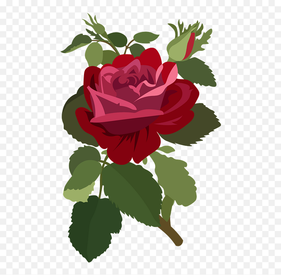 Rose Flower Clipart Free Download Transparent Png Creazilla - Floral Emoji,Free Rose Clipart