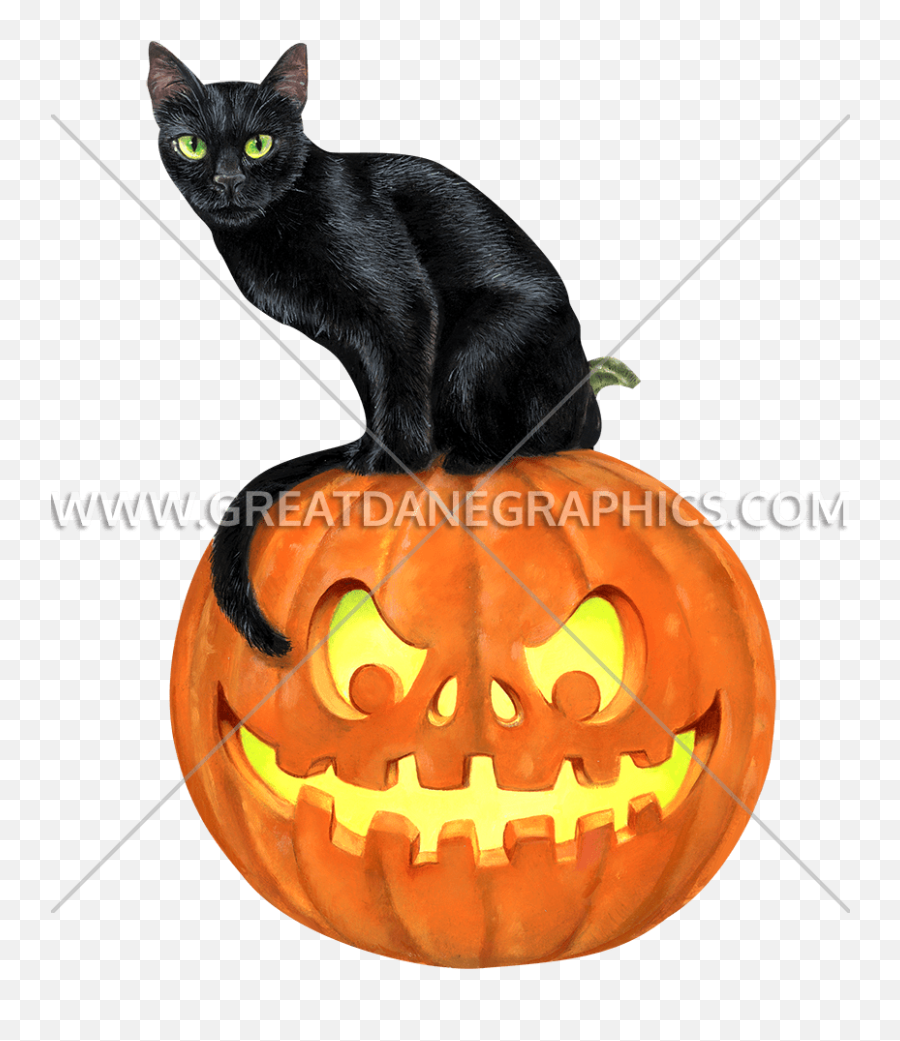 Black Cat On Pumpkin Production Ready Artwork For T - Shirt Emoji,Watercolor Pumpkin Clipart