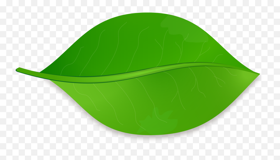 Picture - Leaf Shape Clipart Emoji,Leaf Clipart