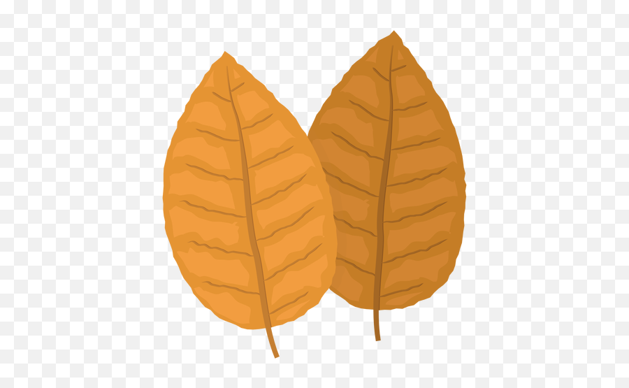 Download Tobacco Png Image For Free - Tobacco Leaf Icon Png Emoji,Cigarette Png