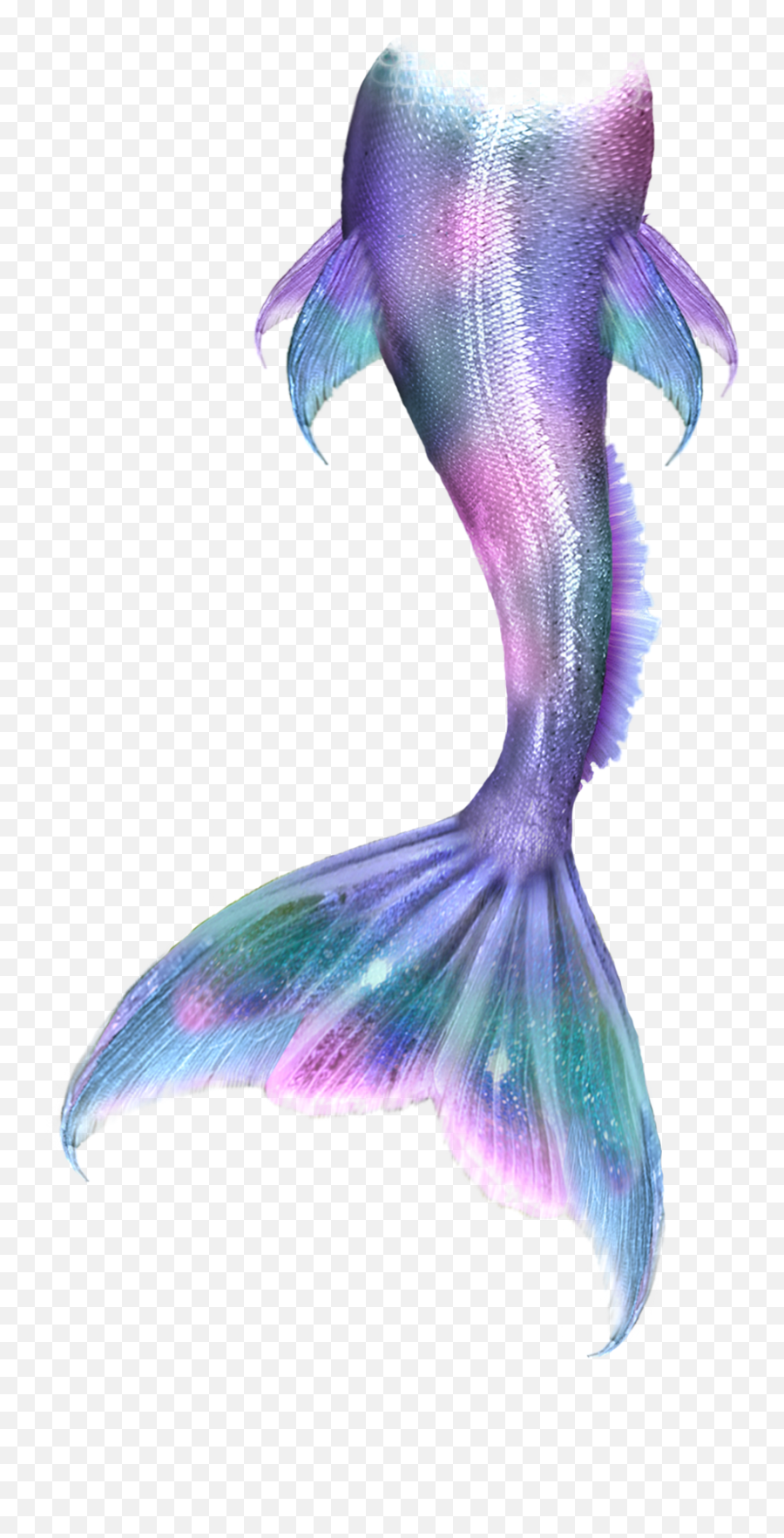 Mermaid Merliah Summers Merman Clip Art - Mermaidtail 886 Emoji,Mermaid Transparent Background