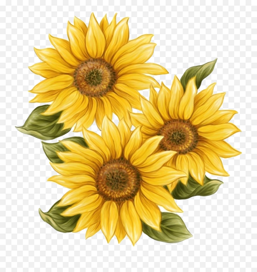 Download Sunflower Png Paint - Png Sunflower Emoji,Sunflower Transparent