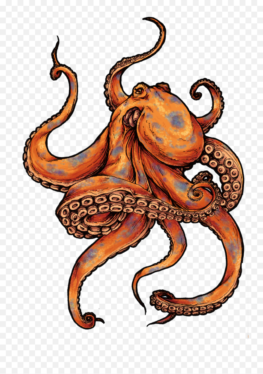 Octopus - Colored Octopus Tattoo Design Emoji,Octopus Png