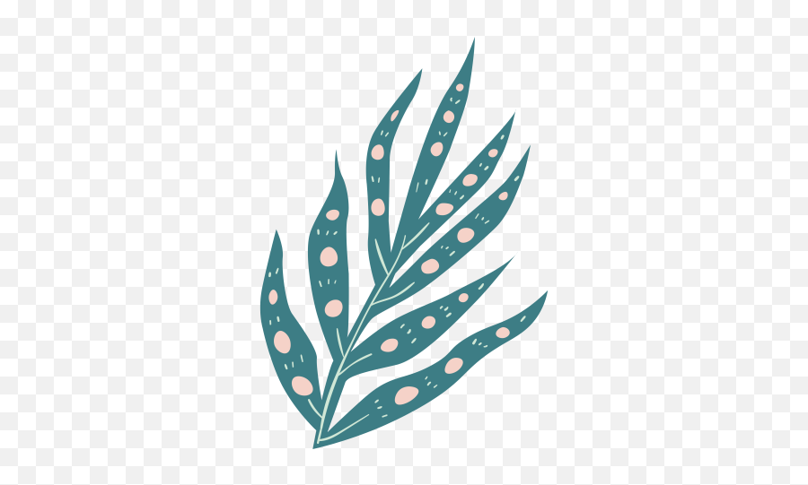 Organic Tropical Leaves Element Png - Cute Ipad Backgrounds Emoji,Tropical Leaf Png