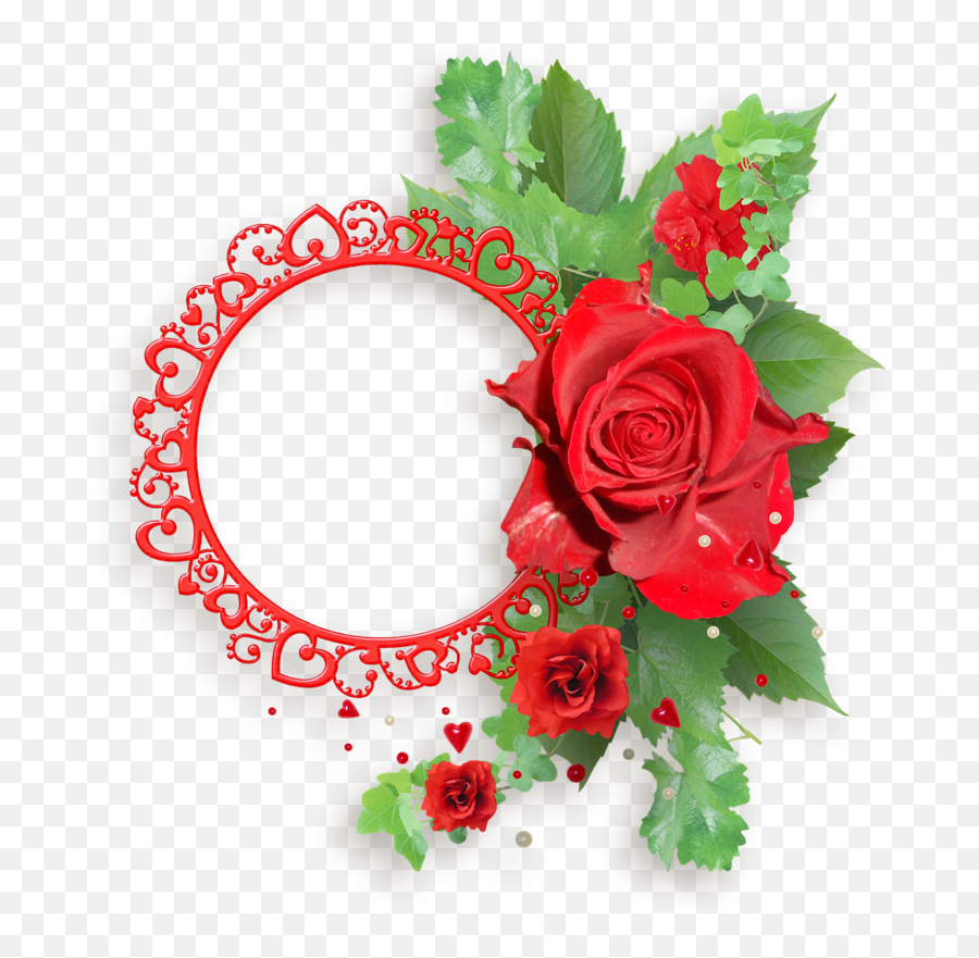 Download Red Roses Frames - Transparent Red Rose Png Frame Red Rose Frame Transparent Background Emoji,Red Rose Png
