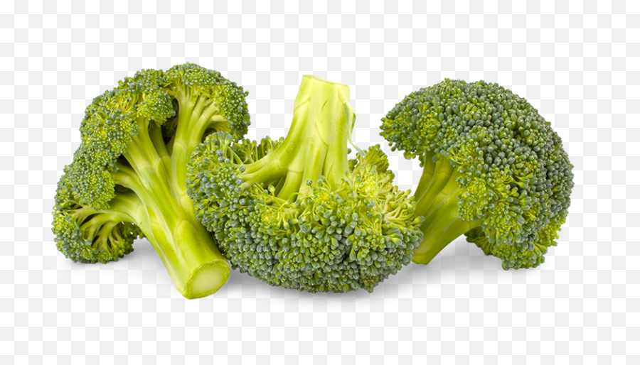 Spinach Broccoli U0026 Mushroom Frittata Emoji,Broccoli Png