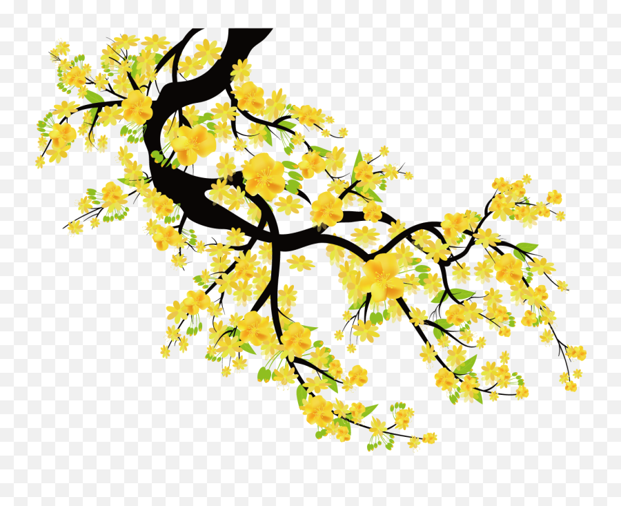 Download Yellow Cherry Blossom Png - Full Size Png Image Yellow Cherry Blossoms Png Emoji,Cherry Blossom Png
