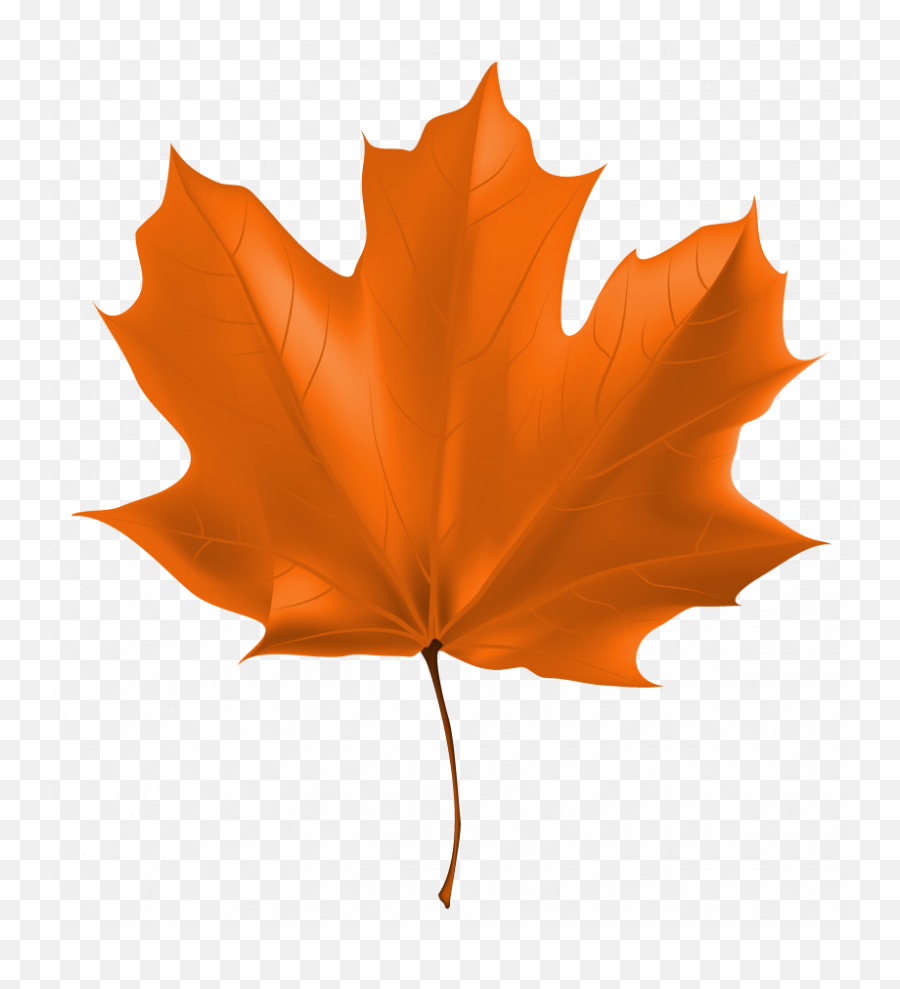 Maple Leaf - Fall Leaf Clipart Png Emoji,Leaf Clipart