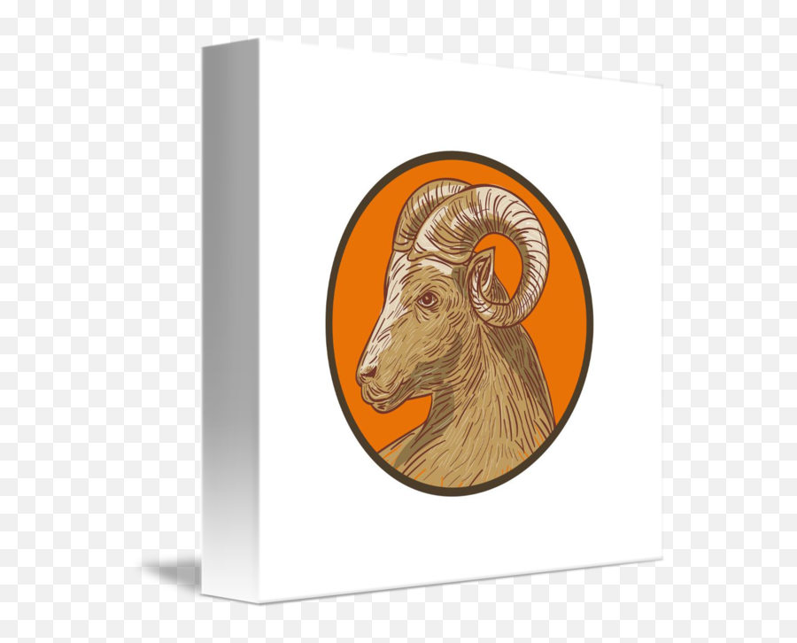 Ram Goat Head Circle Drawing By Aloysius Patrimonio Emoji,Goat Head Png