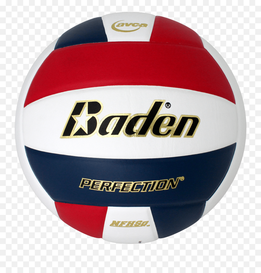 Perfection Leather Volleyball - Baden Sports Emoji,Inside Out Characters Png