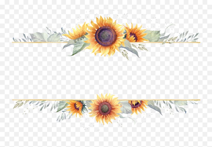 Sunflower Border Png Sunflower Border - Transparent Sunflower Logo Design Emoji,Sunflower Transparent