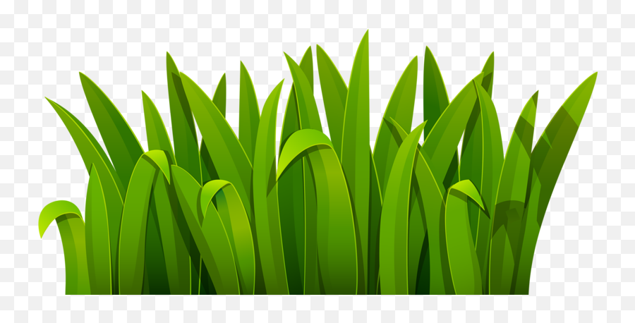Green Cartoon Download - Green Grass Png Download 800377 Cartoon Transparent Grass Png Emoji,Cartoon Grass Png